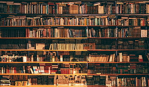 Vintage Bookstore Interior With Full Wooden Shelves And Classic Leather Bound Volumes HD wallpaper