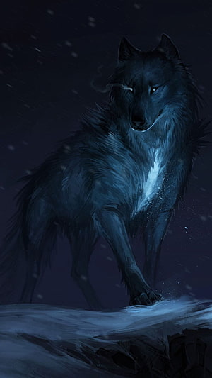 Majestic Black Wolf Standing in Snowy Night Landscape Digital Art HD phone wallpaper