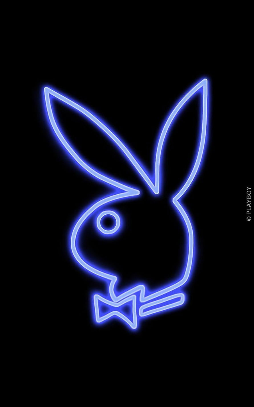 Playboy Bunny Logo in Glowing Blue Neon Outline on Black Background HD phone wallpaper