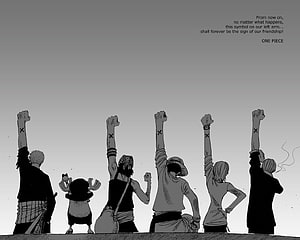 One Piece Straw Hat Crew Raising Fists in Unity and Friendship HD wallpaper