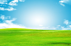 Serene Rolling Green Hills Under a Bright Blue Sky with Fluffy White Clouds HD wallpaper