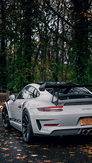Rear View of a White Porsche GT3 RS with Large Rear Wing Parked on a Leaf-Strewn Road HD phone wallpaper