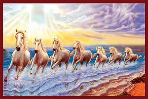 Seven White Horses Galloping Through Ocean Waves at Sunset HD wallpaper