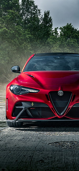 Alfa Romeo Giulia GTA Front Fascia with Carbon Fiber Details on a Forest Road HD phone wallpaper