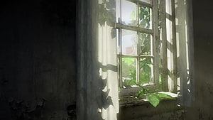 The Last of Us Abandoned Window with Overgrown Vines and Sunlight HD wallpaper