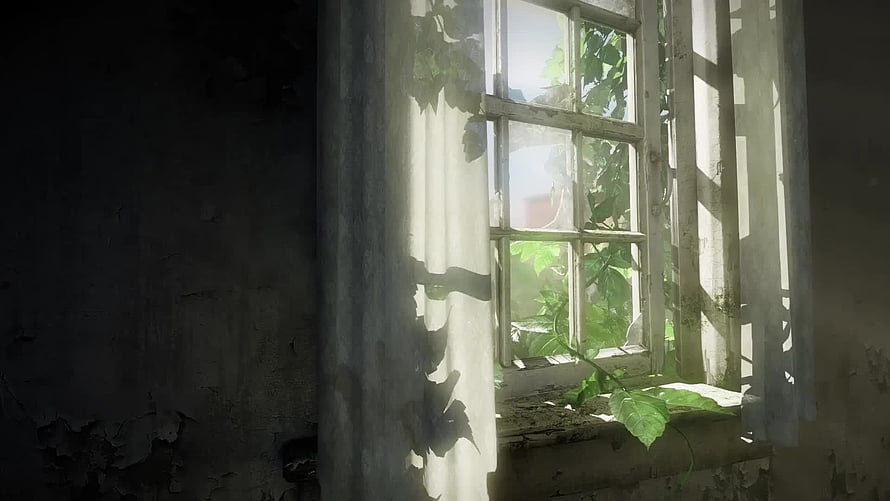The Last of Us Abandoned Window with Overgrown Vines and Sunlight HD wallpaper