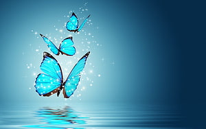 Three Glowing Blue Morpho Butterflies Dancing Over Calm Water Surface HD wallpaper