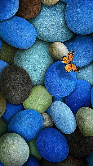Monarch butterfly resting on a bed of smooth blue and green pebbles HD phone wallpaper