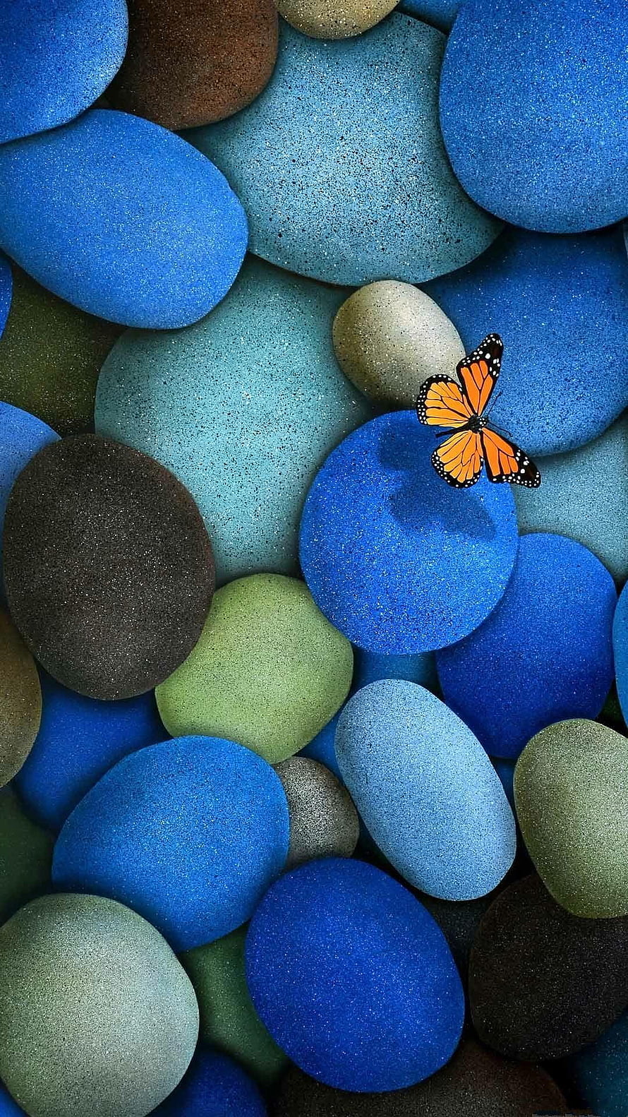 Monarch butterfly resting on a bed of smooth blue and green pebbles HD phone wallpaper