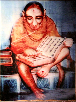 Hanuman Ji Reading Sacred Text in Traditional Orange Robe HD phone wallpaper