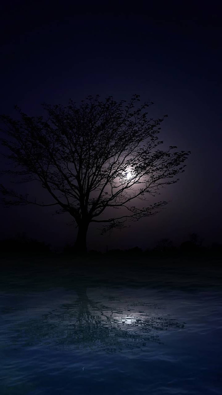 Silhouette of a lone tree against a full moon with a calm water reflection at night HD phone wallpaper
