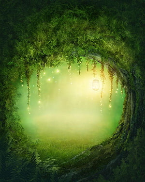 Enchanted Forest Hollow with Glowing Lantern and Fireflies HD phone wallpaper