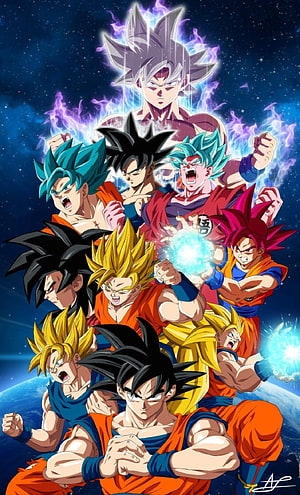 Son Goku All Transformations and Power Forms in Dragon Ball Anime Artwork HD phone wallpaper