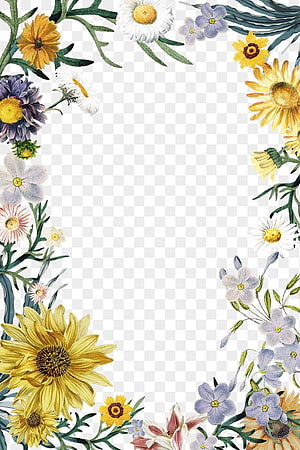 Watercolor Wildflower Border Frame with Sunflowers and Daisies on Transparent Background HD phone wallpaper