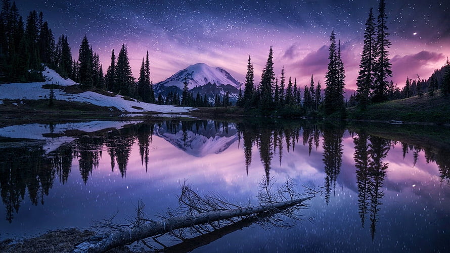 Starry Night Mountain Lake Reflection with Pine Forest and Snowy Peak HD wallpaper