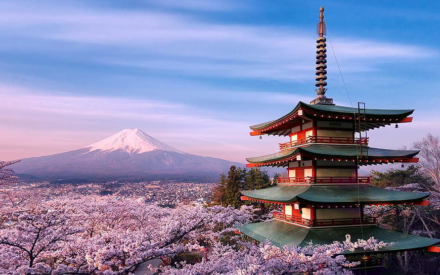 Chureito Pagoda and Mount Fuji framed by blooming cherry blossoms in Japan HD wallpaper