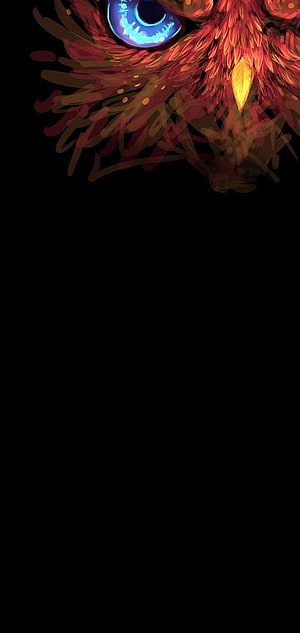 Glowing Blue Eye in Fiery Red Feathers on Black Background HD phone wallpaper