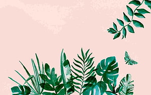 Tropical Botanical Watercolor Illustration with Monstera Leaves and Butterfly on Blush Pink Background HD wallpaper