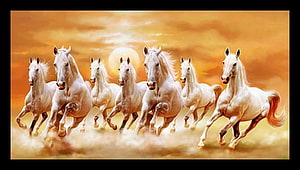 Seven White Horses Galloping in a Dusty Sunset Landscape HD wallpaper