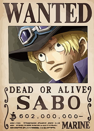 One Piece Sabo Wanted Poster Dead or Alive Marine Bounty HD phone wallpaper