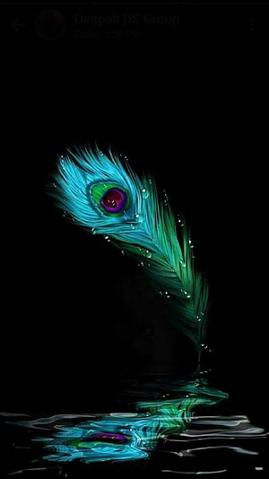 Vibrant Peacock Feather with Water Droplets and Reflection on Black Background HD phone wallpaper