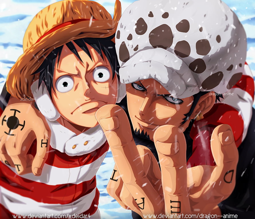 One Piece Luffy and Trafalgar Law Winter Portrait HD wallpaper