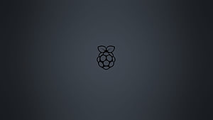 Minimalist Raspberry Pi Logo on Dark Slate Background HD wallpaper