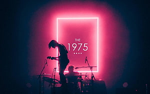 The 1975 Live Concert Silhouette Against Neon Pink Stage Lighting HD wallpaper