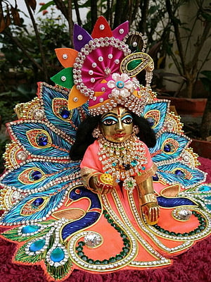 Laddu Gopal Krishna Idol with Ornate Peacock Feather Backdrop and Jeweled Crown HD phone wallpaper