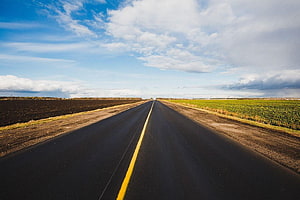 Endless Highway Stretching Through Open Farmland Under a Bright Blue Sky HD wallpaper