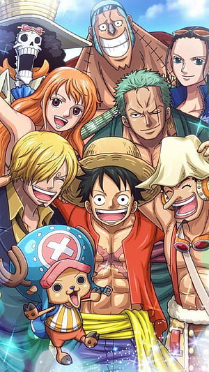 One Piece Straw Hat Pirates Group Portrait Anime Wallpaper HD phone wallpaper