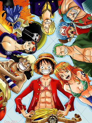 One Piece Straw Hat Pirates Crew Group Portrait Anime Illustration HD phone wallpaper