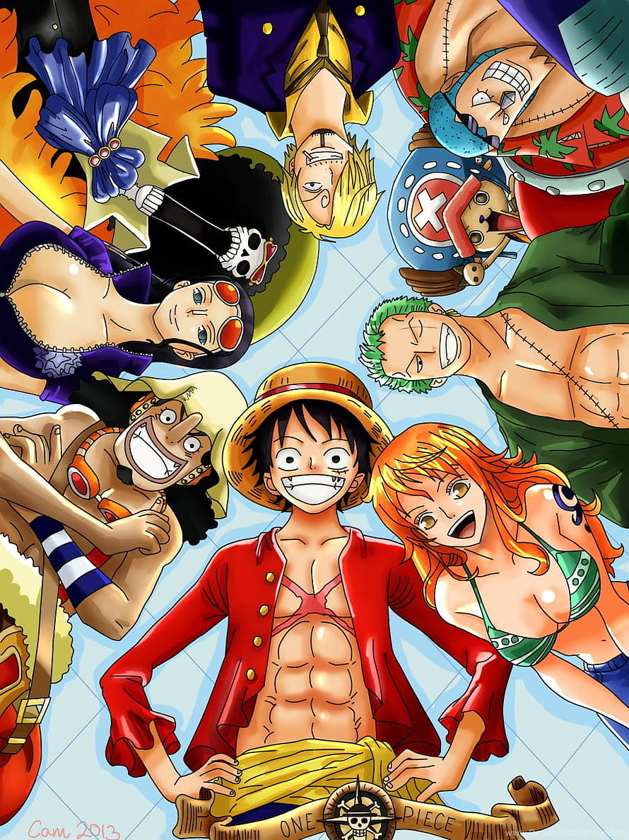 One Piece Straw Hat Pirates Crew Group Portrait Anime Illustration HD phone wallpaper