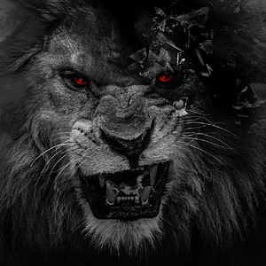 Menacing Black Lion With Glowing Red Eyes And Shattered Glass Effect HD phone wallpaper