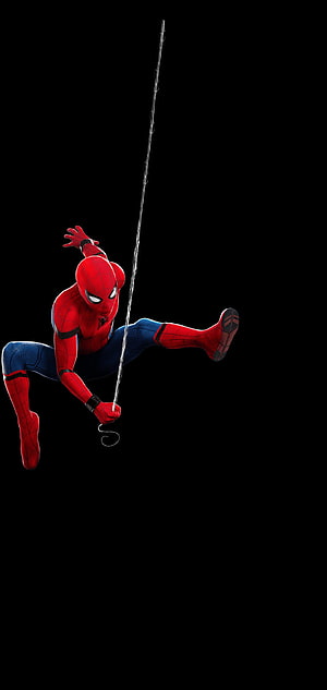 Spider-Man Swinging on Web Against Black Background, Spider Man Notch, amoled spider man HD phone wallpaper