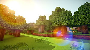 Minecraft Forest Biome with Sun Flare and Lush Green Trees HD wallpaper