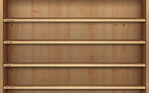 Empty Wooden Bookshelf with Labeled Shelves for Programs, Folders, Games, and Multimedia HD wallpaper