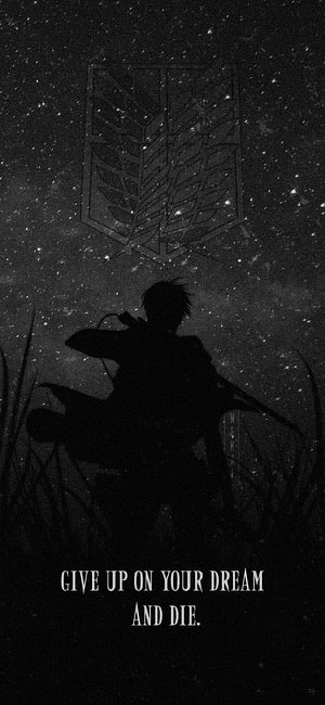 Attack on Titan Silhouette Under Wings of Freedom Emblem in Starry Night HD phone wallpaper