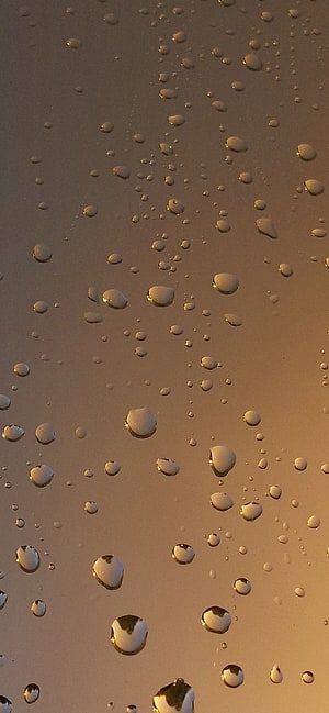Golden Water Droplets on Glass Surface with Warm Sunset Light HD phone wallpaper