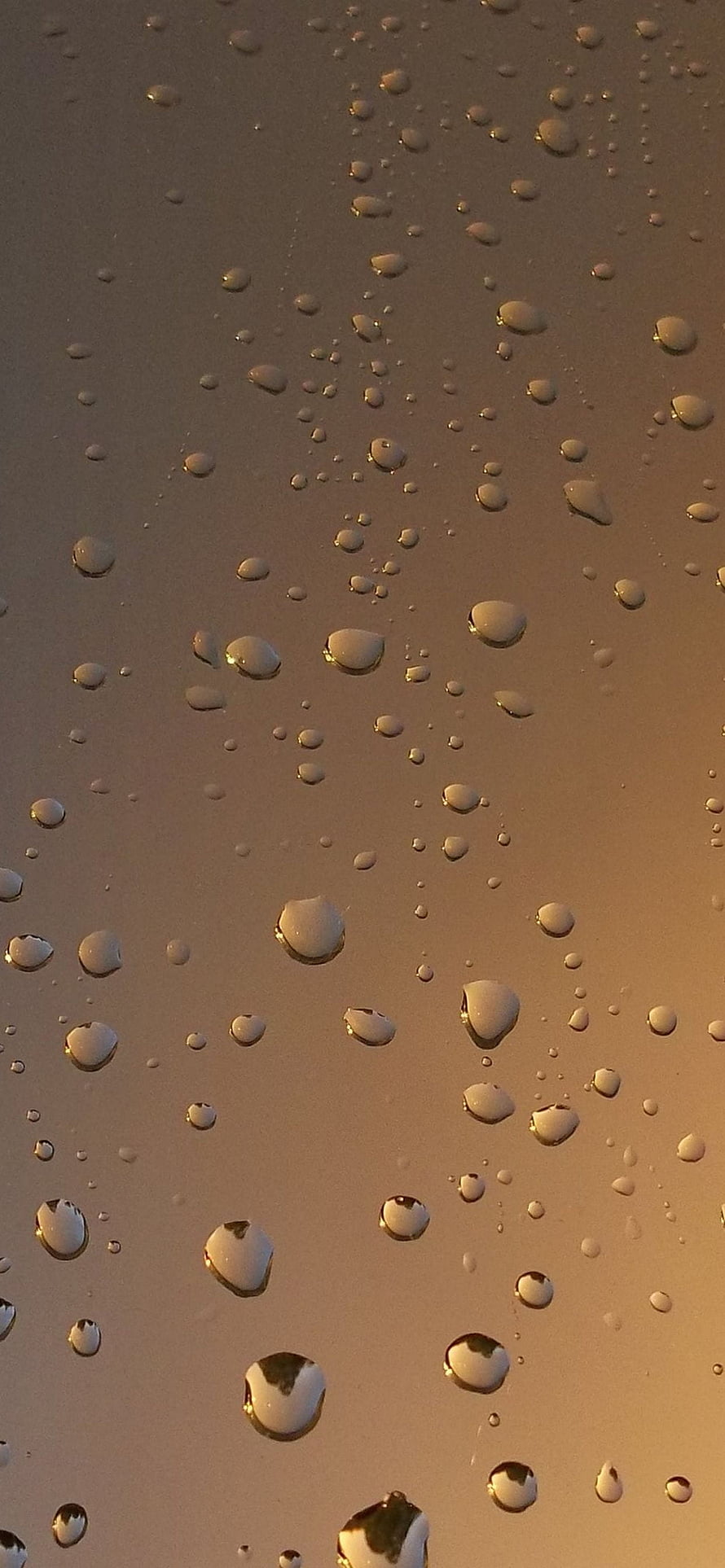 Golden Water Droplets on Glass Surface with Warm Sunset Light HD phone wallpaper