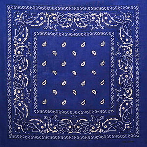 Classic Blue Paisley Bandana with Cream Floral Border and Center Motif Pattern HD phone wallpaper