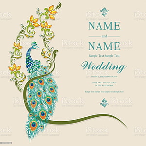 Elegant Peacock Wedding Invitation Card Design with Floral Accents HD phone wallpaper