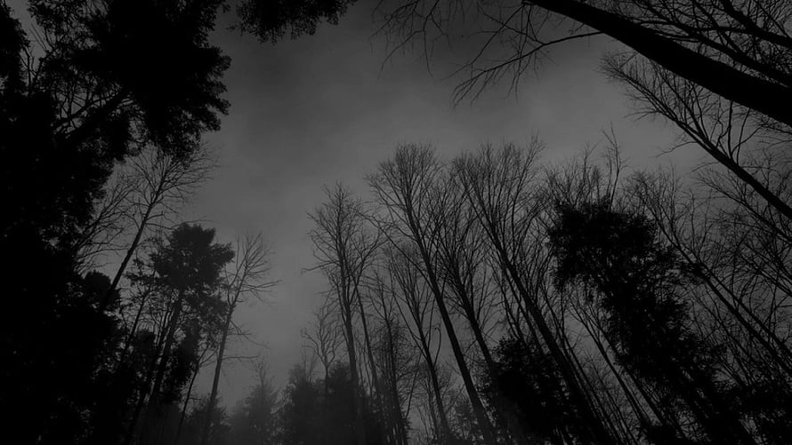 Dark Aesthetic Forest Silhouettes Under a Misty Overcast Sky HD wallpaper