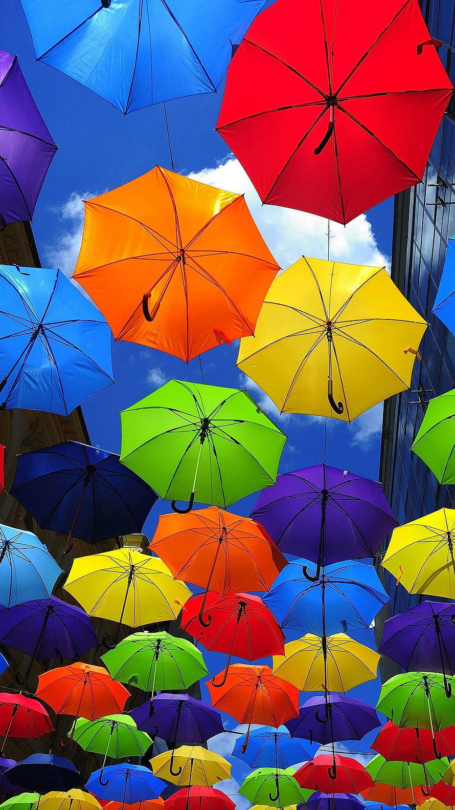 Vibrant Rainbow Umbrellas Suspended Against a Bright Blue Sky HD phone wallpaper