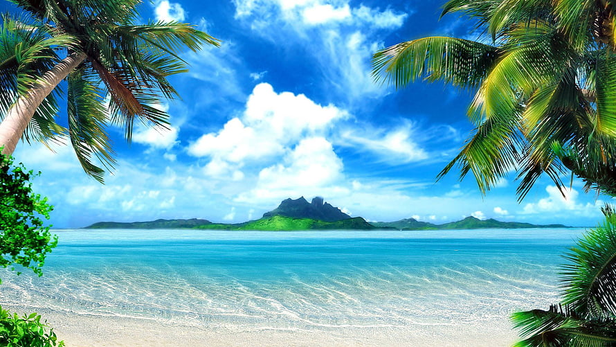 Tropical Island Beach Scene With Palm Trees And Turquoise Water HD wallpaper