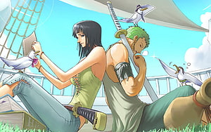 Roronoa Zoro and Nico Robin Relaxing on a Ship Deck with Seagulls in One Piece HD wallpaper