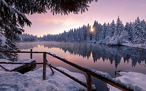 Serene Winter Lake at Sunrise with Snowy Pine Forest and Wooden Dock HD wallpaper