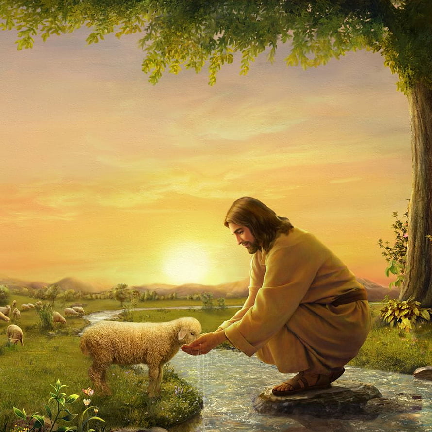 Jesus as the Good Shepherd Offering Water to a Lamb in a Golden Pastoral Landscape HD phone wallpaper