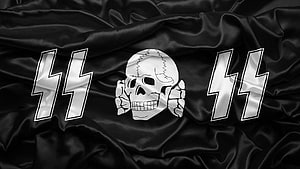 Black satin flag with silver skull and double lightning bolt insignia HD wallpaper