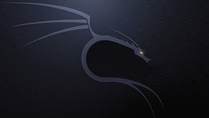 Kali Linux Dragon Logo Minimalist Dark Wallpaper HD wallpaper